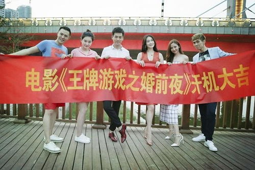 王牌游戏之婚前夜,王牌游戏背后的爱情与挑战