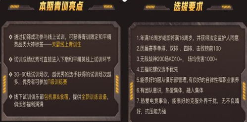 游戏陪练招聘,开启职业电竞陪练时代