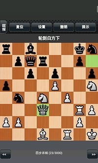 国际象棋多人游戏,策略与智慧的较量