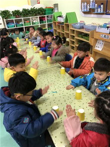 纸杯音乐游戏,创意无限的音乐游戏体验