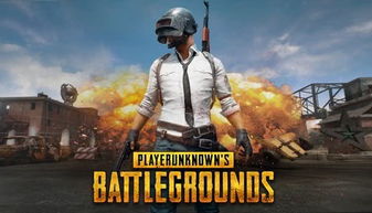 ps4求生类游戏,PS4平台上的生存挑战之旅