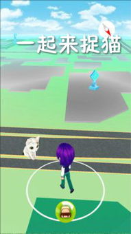 安卓捉猫游戏,挑战你的反应速度与策略思维