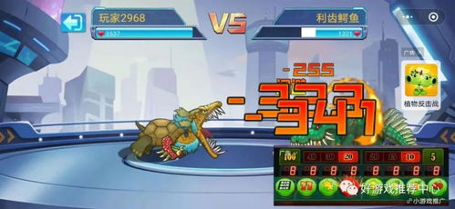 游戏王变龟,揭秘游戏王中的神秘生物与传奇故事