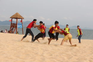 沙滩户外游戏,沙滩户外游戏的欢乐时光