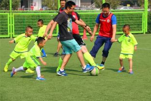 足球青训游戏,培养未来足球之星的虚拟竞技之旅